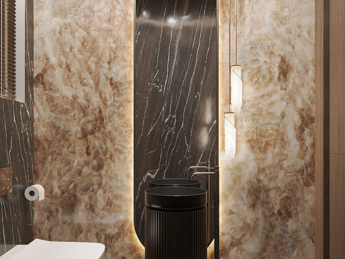 Guest Toilet - Sarai